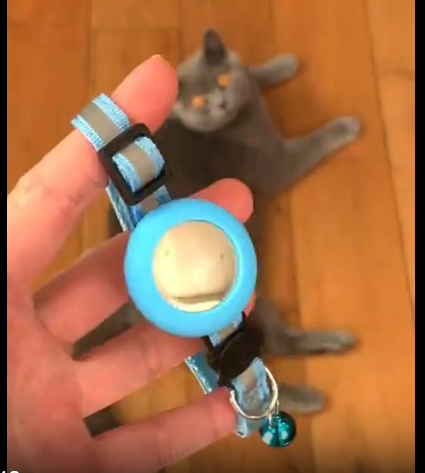 Reflective AirTag Holder Collar