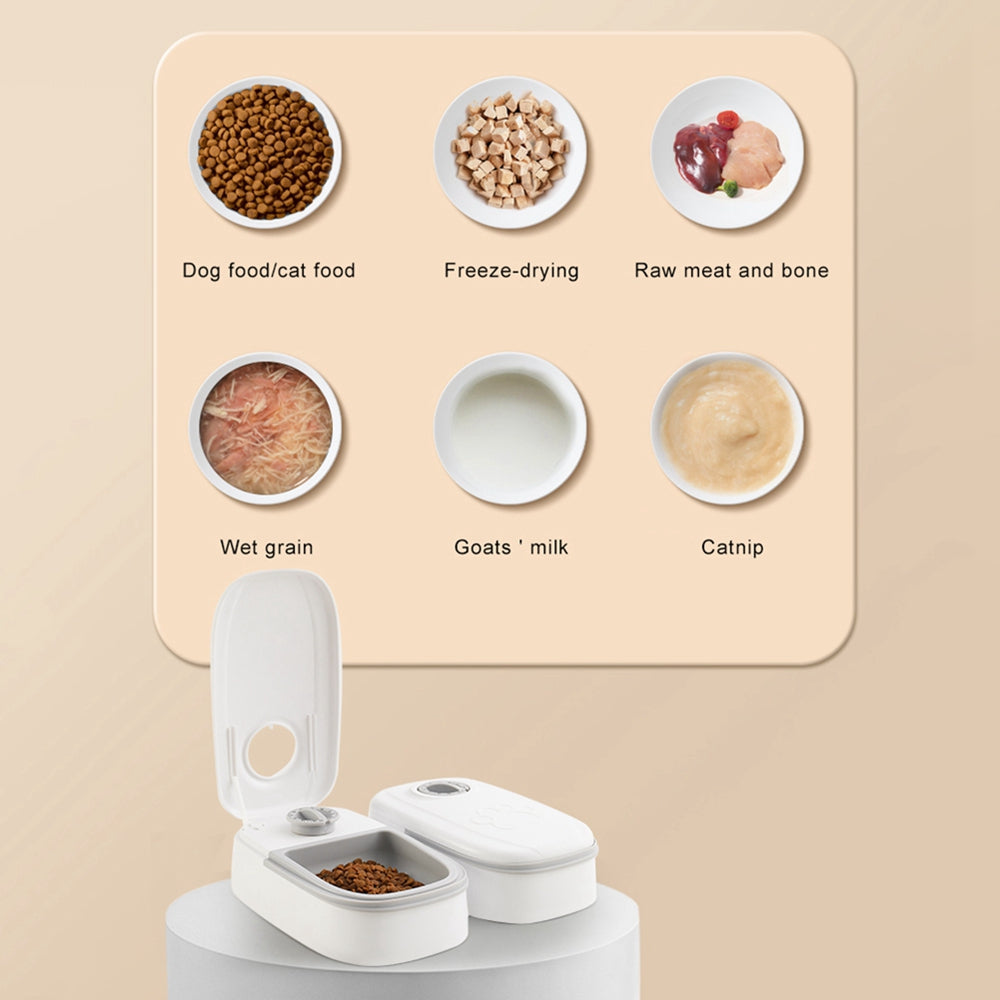 Automatic Food Dispenser